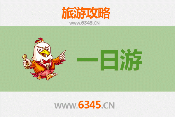 深圳自驾一日游攻略：探索海滨风光与城市魅力